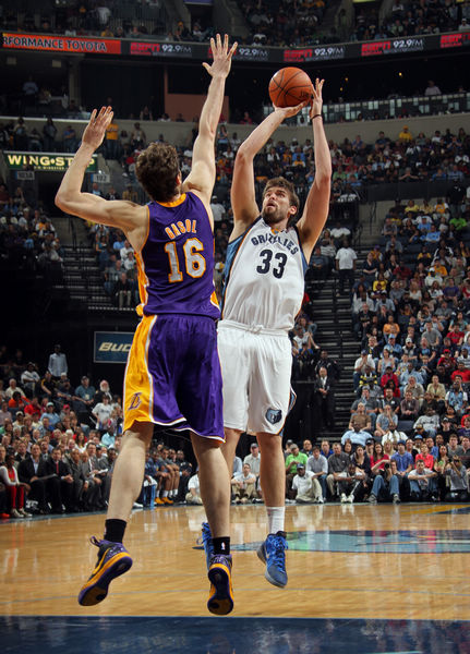 不仅是在体 不仅是在体